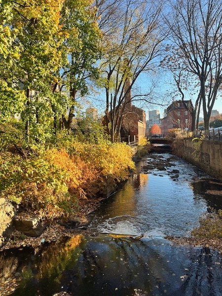 Convenient College Hill Apartments with Amenities  image