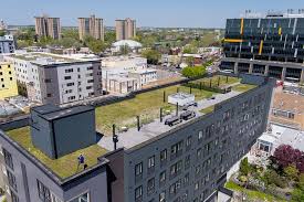 Uno On Chestnut image